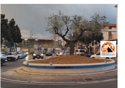 Montesilvano/rotatorie, manutenzione gratis per 5 anni e un ulivo spunta dalla fontana della stazione