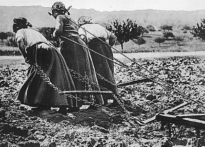 donne che tirano l'aratro