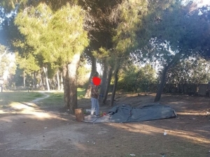Montesilvano. Comune e sgomberi in pineti, un loop infinito.