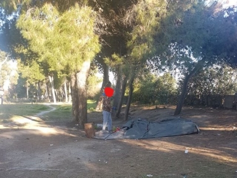 Montesilvano. Comune e sgomberi in pineti, un loop infinito.