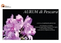 Pescara. Orchidee in Festa all’Ex Aurum