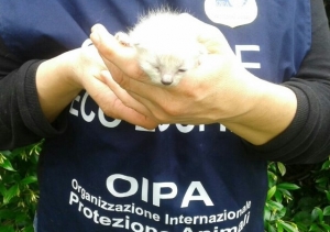 Pescara/Chieti, diventare Guardie zoofile corso di Oipa