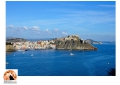 Procida è la Capitale italiana della cultura per l'anno 2022.