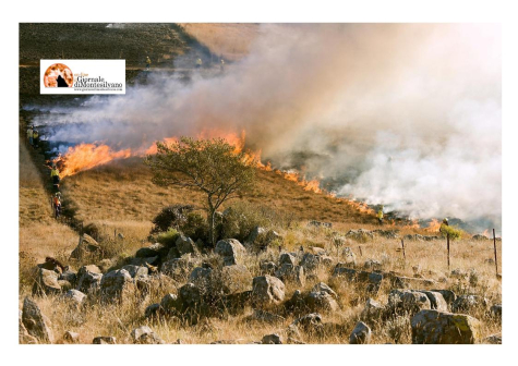 Mancato finanziamento del piano delle assunzioni dell'Agenzia regionale di Protezione Civile