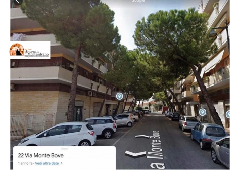 Pescara. Il Co.n.al.pa. "In questa città l'ombra degli alberi non ha alcun valore."