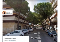 Pescara. Il Co.n.al.pa. "In questa città l'ombra degli alberi non ha alcun valore."