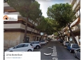 Pescara. Il Co.n.al.pa. "In questa città l'ombra degli alberi non ha alcun valore."