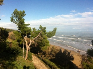 Cerrano/nuovo CdA. Molte questioni da sviluppare