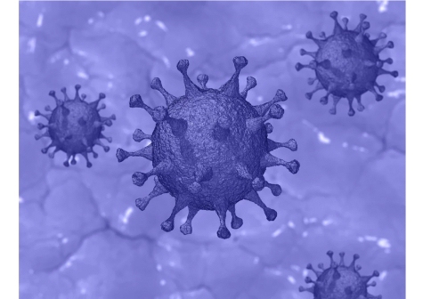 Abruzzo/Covid19. Sono 625 i nuovi casi e 6 morti.