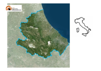 Abruzzo. Finanza pubblica e sanità, M5S: "Giunta Marsilio e governo Meloni scaricano il fallimento sui cittadini. Tagli, tasse e servizi a rischio."