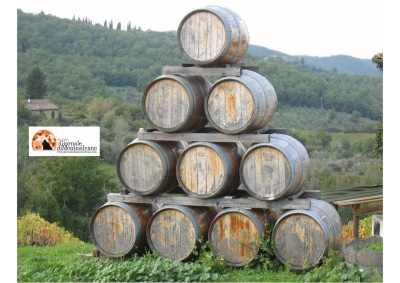 Vino. Abruzzo rafforza la comune identità dell’enologia regionale