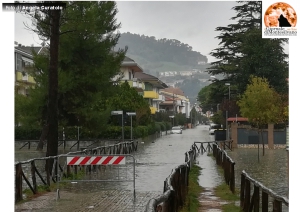 pioggia copiosa dello scorso anno allagamento in pineta e vie adiacenti.