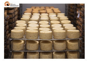 Agricoltura. Stop per pratiche commerciali sleali: nel prossimo CDM