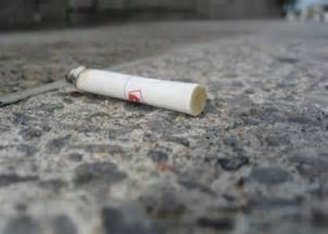 Green: multe a chi getta gomme, carte e mozziconi