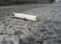 Green: multe a chi getta gomme, carte e mozziconi