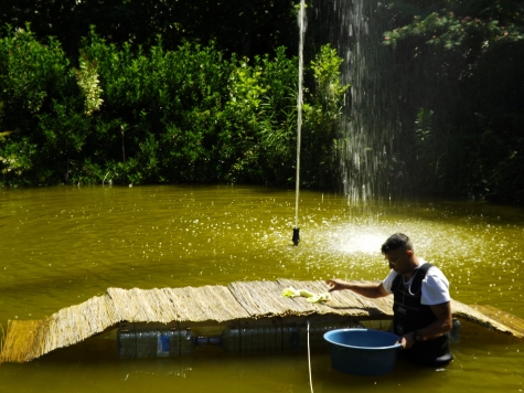 Montesilvano/Parco della Libertà, operazioni  salvataggio  tartarughe