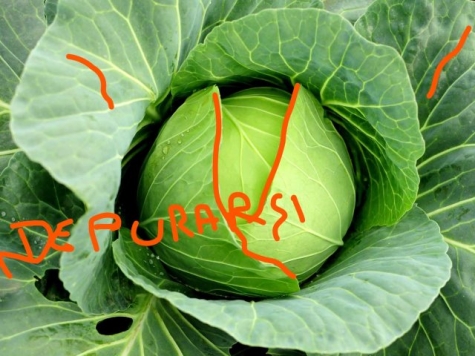 Depurarsi con la verza.