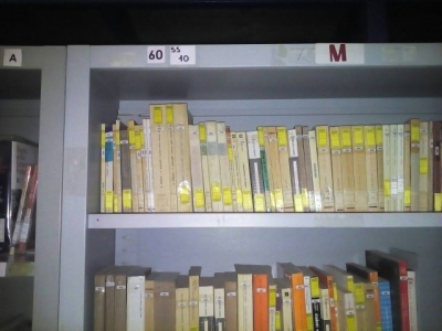 libri della biblioteca con ordine poco pratico e piuttosto disagiante