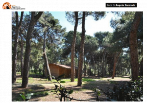 Pescara/pineta. 240mila euro per il fabbricato in legno