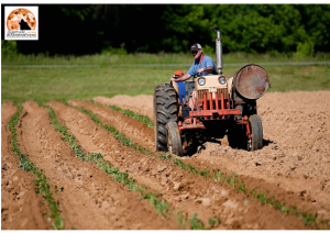 Abruzzo/ Consorzi di bonifica: stanziati 1,5 milioni per emergenza energetica