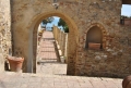 Vasto