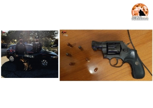 Sorpreso con un revolver rubato Arresto dei Carabinieri di San Salvo