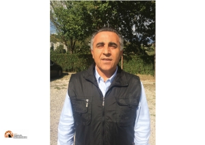 Di Natale