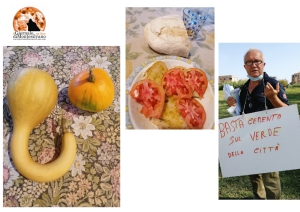 L'ultima protesta di questa estate di Di Stefano