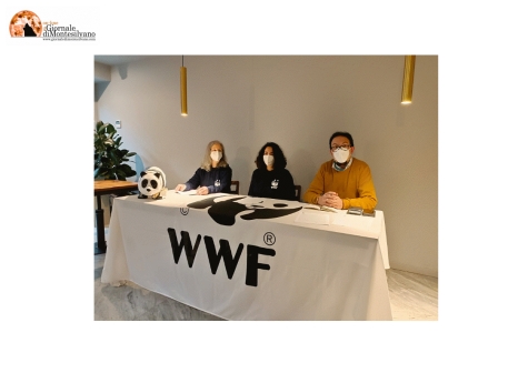 Abruzzo: lupo orso e fratino. WWF, il punto sullo stato dell’ambiente