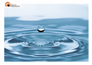 Abruzzo/Idrico: Marsilio,55 milioni di euro. “Intervento strategico per sistema complessivo di distribuzione dell’acqua in Abruzzo”