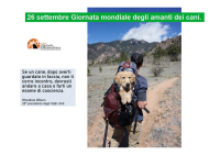 26 Settembre: Giornata mondiale degli amanti dei cani.