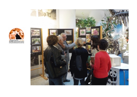 A “caccia” di immagini di natura in città con Urban Nature 2021