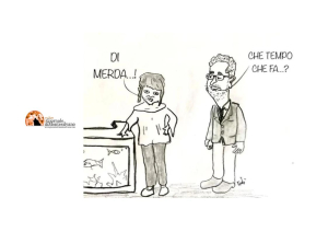 vignetta 