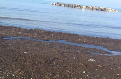 Pescara. Risolto mistero dei detriti sulla battigia