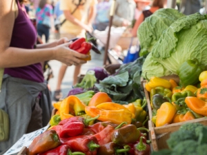 Italia. 1 italiano su 4 a rischio povertà. Impossibile continuare così.