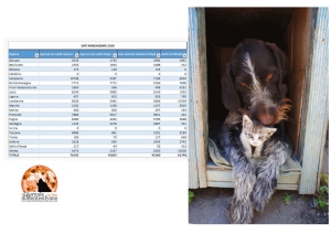 Randagismo/2020, meno ingressi nei canili, aumentano le adozioni