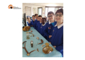Montesilvano. 53 alunni della scuola primaria a lezione di ecologia nella Sala del Tricolore