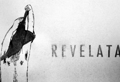 Montesilvano, la mostra multimediale: Revelata