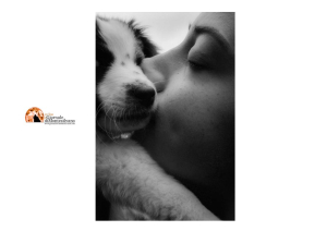 San Salvo/canile, adozioni grazie a lavoro congiunto Comune e associazioni animaliste