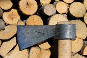 Scure dovrebbe eliminare il doppio vitalizio