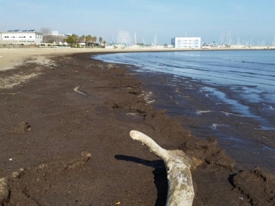 le foto dei detriti