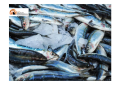 Pescara/molo sud e del molo nord. La compravendita di pescato sulle bancarelle va protetta