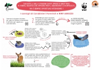 Animali feriti. Come soccorrerli? I consigli di Wwf e Carabinieri forestali