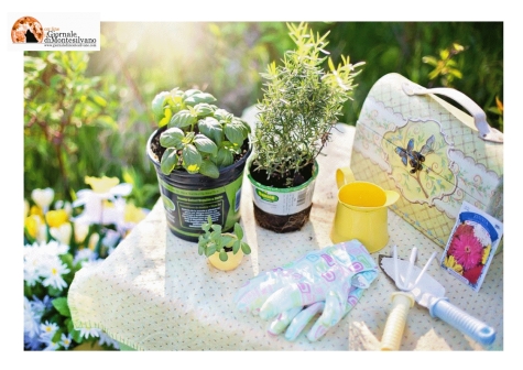 “Montesilvano Expo Giardino” nel fine settimana