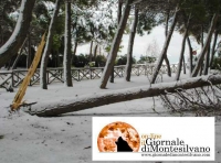 neve del 2012