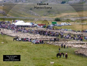 Campo Imperatore durante la Rassegna ovini
