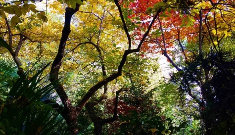 Parco dei Ligustri, l'arte dei giardini e il risparmio sui costi