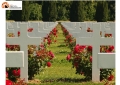 Abruzzo. Cimitero bambini mai nati, parere negativo pari opportunità: testo illegittimo.