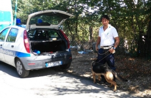 Pescara. Polizia Municipale salva cane rapito a maggio.