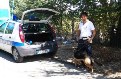 Pescara. Polizia Municipale salva cane rapito a maggio.